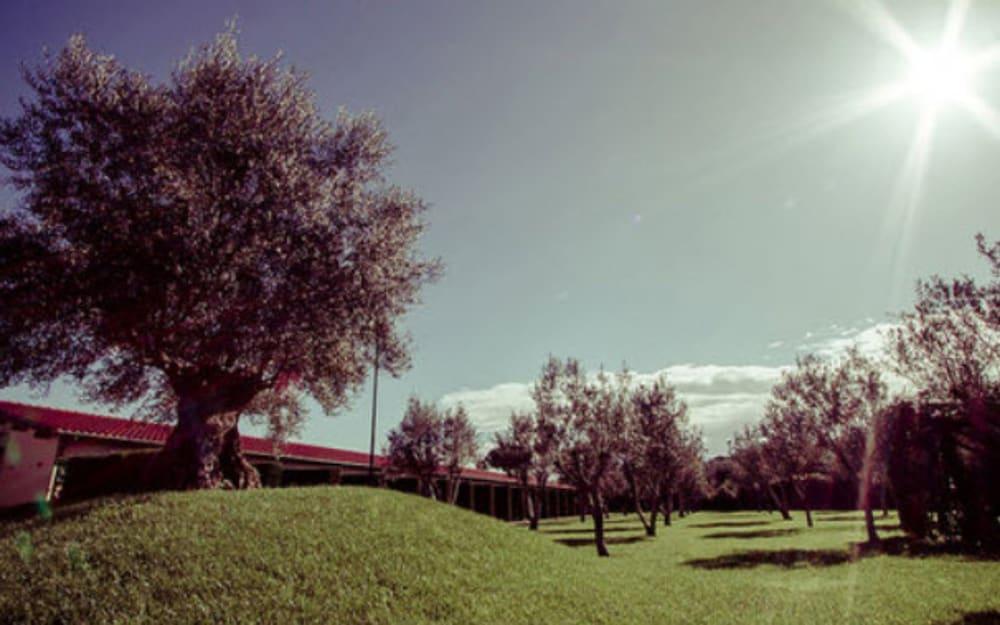 All Ways Garden Hotel & Leisure Rome Exterior photo